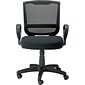 Raynor Eurotech Fabric/Mesh Maze Task Chair, Black