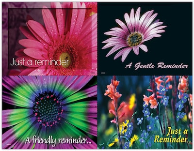 Generic Assorted Postcards; for Laser Printer; Assorted Floral, 100/Pk
