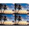 Generic Postcards; for Laser Printer; Palm Trees & Ocean Scene, 100/Pk