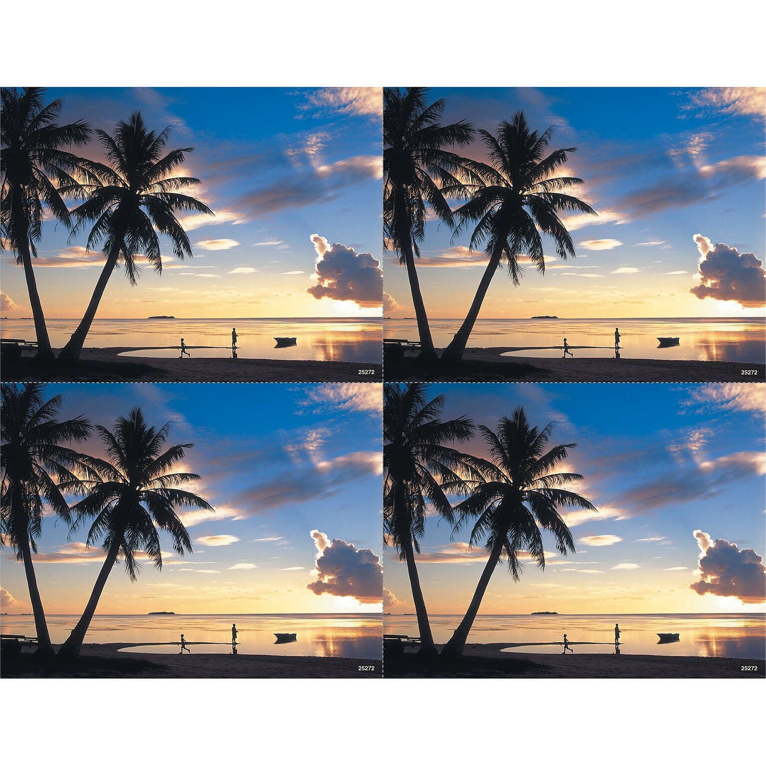 Generic Postcards; for Laser Printer; Palm Trees & Ocean Scene, 100/Pk