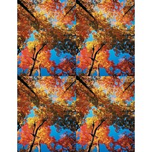 Scenic Postcards; for Laser Printer; Autumn Colors, 100/Pk