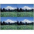 Generic Postcards; for Laser Printer; Mountain Meadow Scene, 100/Pk