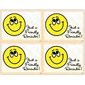 Graphic Image Postcards; for Laser Printer; Smiley Face, Just a Friendly Reminder, 100/Pk