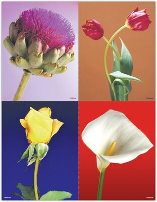 Scenic Assorted Laser Postcards; Photo Flowers, 100/Pk