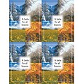 Scenic Postcards; for Laser Printer; A Smile for all Seasons, 100/Pk