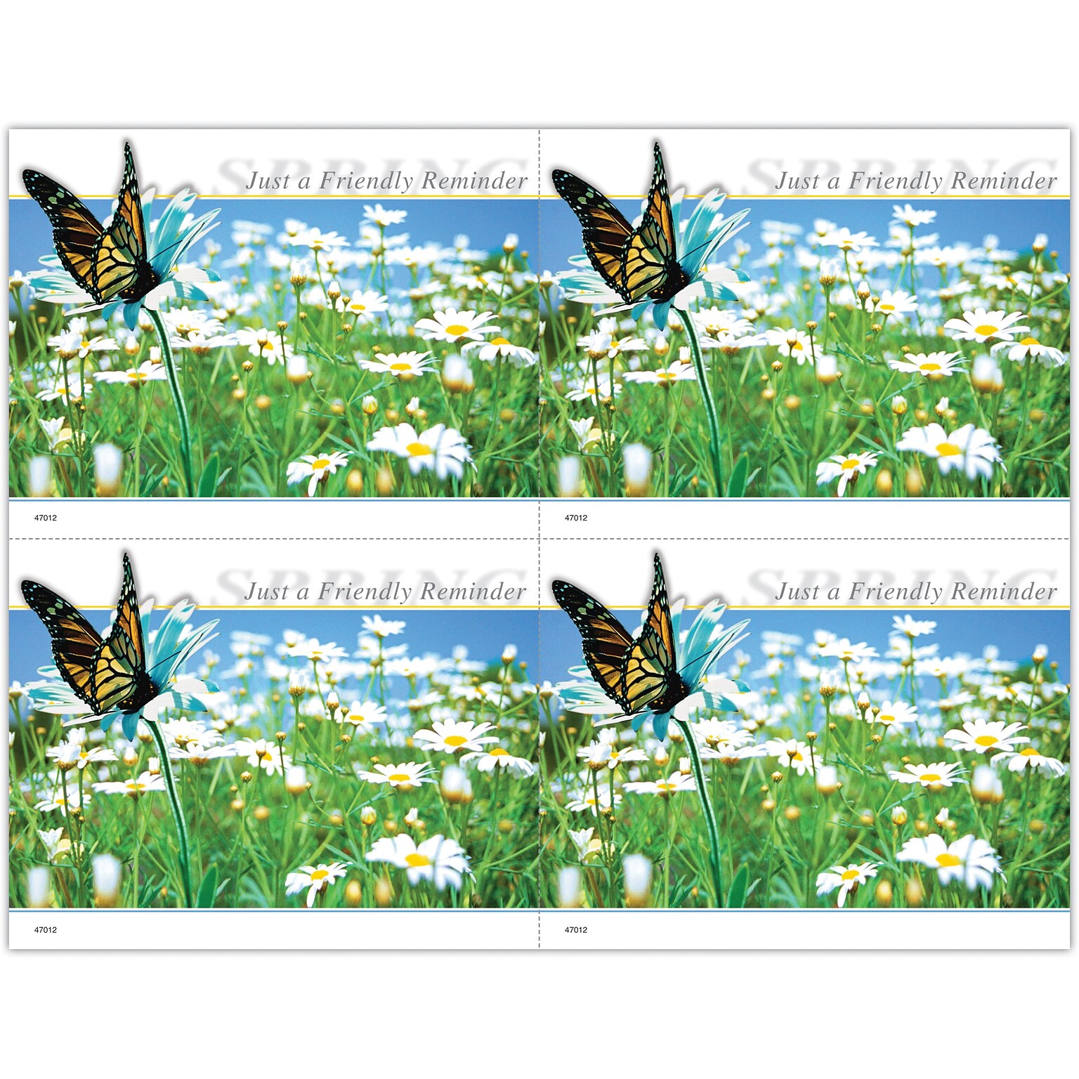 Generic Postcards; for Laser Printer; Butterfly Daisy Field, 100/Pk