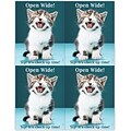 Photo Image Postcards; for Laser Printer; Open Wide, 100/Pk