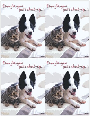 Photo Image Postcards; for Laser Printer; Pets Check-up, 100/Pk