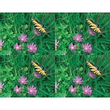 Scenic Postcards; for Laser Printer; Butterfly/Flower, 100/Pk