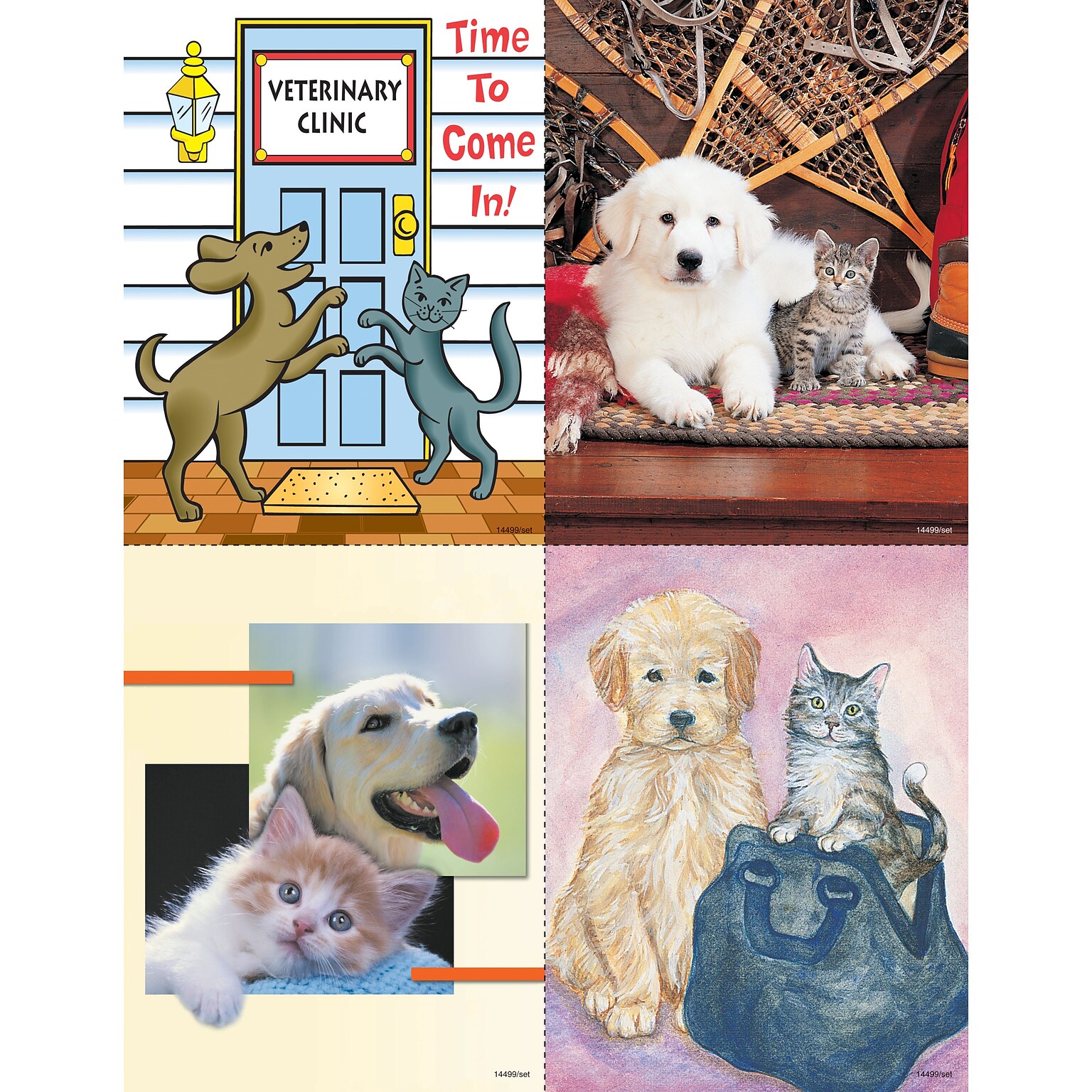 Veterinary Assorted Postcards; for Laser Printer; Treatment Reminder, 100/Pk