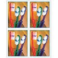 Graphic Image Postcards; for Laser Printer; Toothbrushes in Glass, 100/Pk