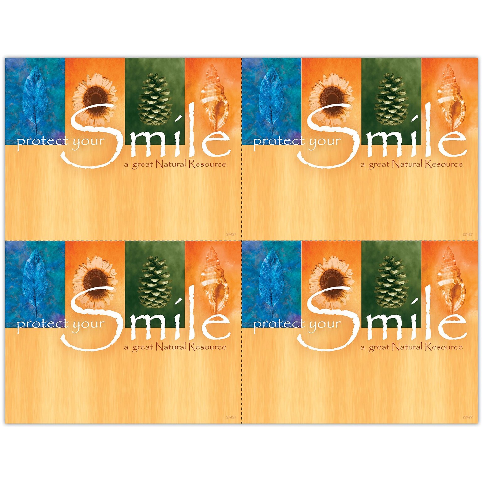 Photo Image Postcards; for Laser Printer; Protect Your Smile, A Great Natural Resource, 100/Pk