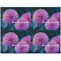 Generic Postcards; for Laser Printer; Thistle Flower, 100/Pk