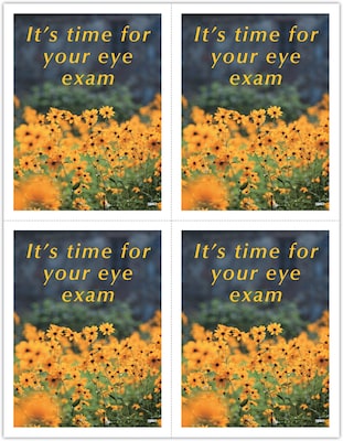 Scenic Postcards; for Laser Printer; Photo, Yellow Meadow, 100/Pk
