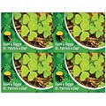 Photo Image Postcards; for Laser Printer; St. Patricks, 100/Pk