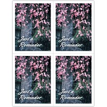 Generic Postcards; for Laser Printer; Flowering Tree Reminder, 100/Pk
