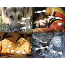 Veterinary Assorted Postcards; for Laser Printer; Way With Words, 100/Pk