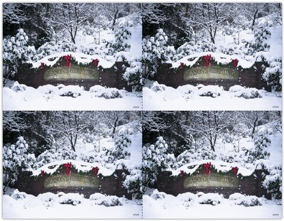 Photo Image Postcards; for Laser Printer; Snow, 100/Pk