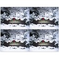 Photo Image Postcards; for Laser Printer; Snow, 100/Pk