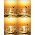 Scenic Postcards; for Laser Printer; Scenic Seagull Sunset, 100/Pk