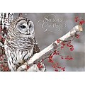 Holiday Expressions® Holiday Cards; Winter Owl, w/Self-Seal Envelopes
