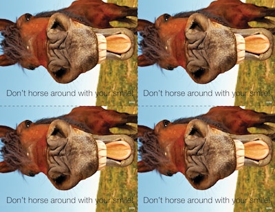 Medical Arts Press® Photo Image Postcards; for Laser Printer; Back to School Horse, 100/Pk