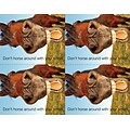 Medical Arts Press® Photo Image Postcards; for Laser Printer; Back to School Horse, 100/Pk