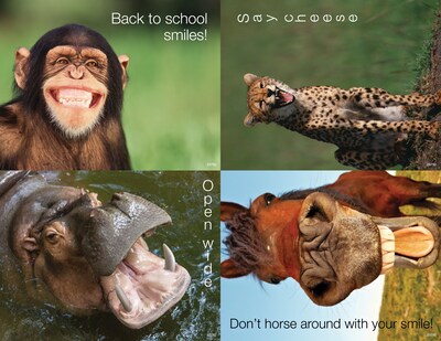 Medical Arts Press® Photo Image Assorted Postcards; for Laser Printer; Dental Back to School Animal