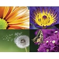 Medical Arts Press® Photo Image Assorted Postcards; for Laser Printer; Close Up Flowers, 100/Pk