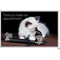 Medical Arts Press® Standard 4x6 Postcards; Cat with Phone