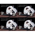 Medical Arts Press® Photo Image Postcards; for Laser Printer; Cat with Phone, 100/Pk