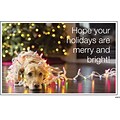 Medical Arts Press® Standard 4x6 Postcards; Dog in Holiday Lights