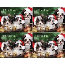 Medical Arts Press® Photo Image Postcards; for Laser Printer; Puppies in Santa Hat, 100/Pk