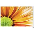 Medical Arts Press® Standard 4x6 Postcards; Orange Flower