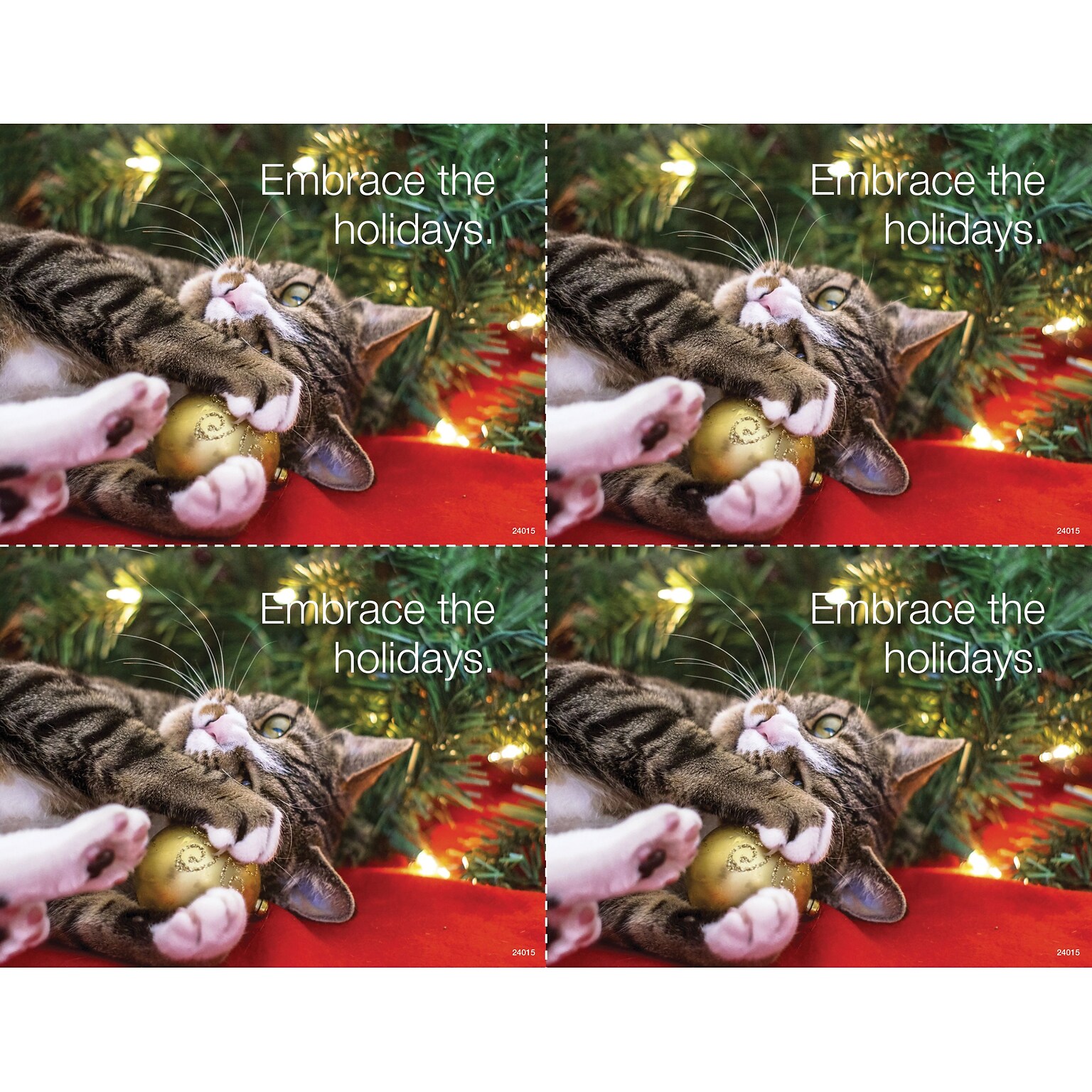 Medical Arts Press® Photo Image Laser Postcards; Cat in Holiday Lights, 100/Pk