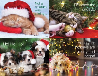 Medical Arts Press® Photo Image Assorted Postcards; for Laser Printer; Holiday Pets, 100/Pk