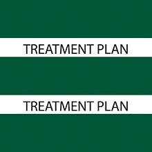 Medical Arts Press® Large Chart Divider Tabs, Treatment Plan, Dk. Green