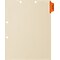 Medical Arts Press® Position 1 Colored Side-Tab Chart Dividers, Immunization/Injections, Orange