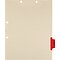 Medical Arts Press® Position 5 Colored Side-Tab Chart Dividers, Radiology, Red