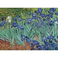 Trademark Global Vincent Van Gogh Irises, 1889 Canvas Art, 35 x 47