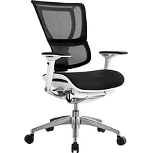 Raynor Eurotech iOO Series Mid-Back Managers Chair, Mesh, Black with White Frame