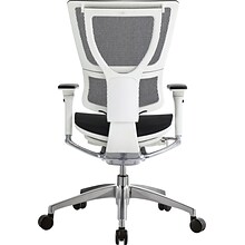 Raynor Eurotech iOO Series Mid-Back Managers Chair, Mesh, Black with White Frame