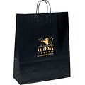 Gloss Shopper Bags; Colored, 19-1/4x16x6