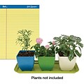 FREE 4-Piece Herb & Flower Pot Set when you buy 2 Quill® Gold Signature Premium Series Ruled Pads