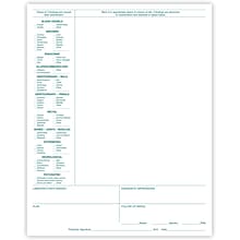 Medical Arts Press® Physical Exam Forms, Green FormFamily™, Top Punched, 250/PK