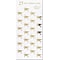 Great Papers! Gold Grad Hat Seal, 50/Pack (9882076PK2)