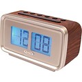 Jensen AM/FM Dual Alarm Digital Retro Flip Clock Radio