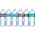 Nestle® Waters Regional Spring Bottled Water, 16.9-oz., 24 Bottles/CS
