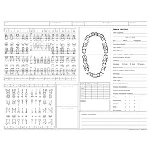 Medical Arts Press® Dental Chart, Treatment Notes, Green, No Punch