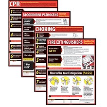 ComplyRight™ Lifesaving Posters; 4 Poster Set, CPR, Choking, Bloodborne Pathogens, Fire Extinguisher